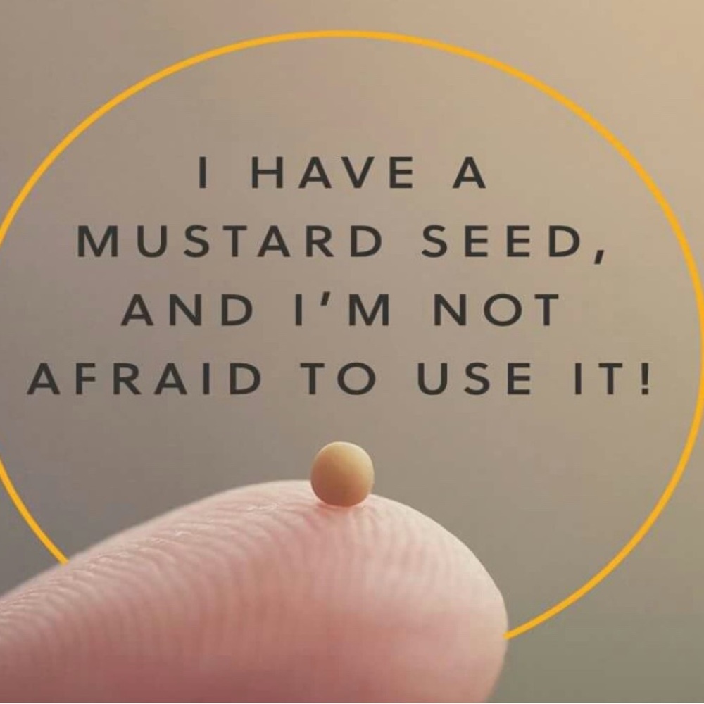 FAITH the size of a Mustard Seed Can Move Mountains!